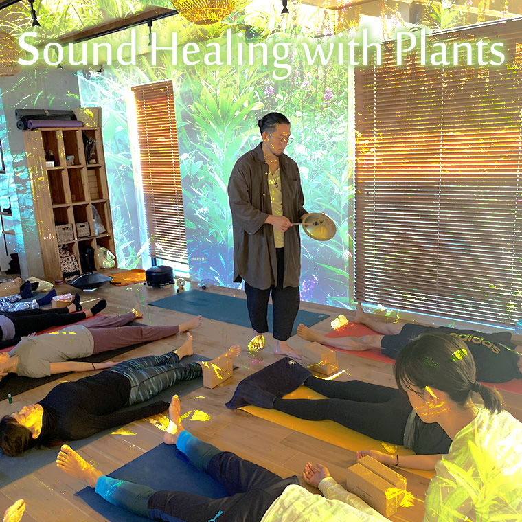 Sound Healing with Plants
