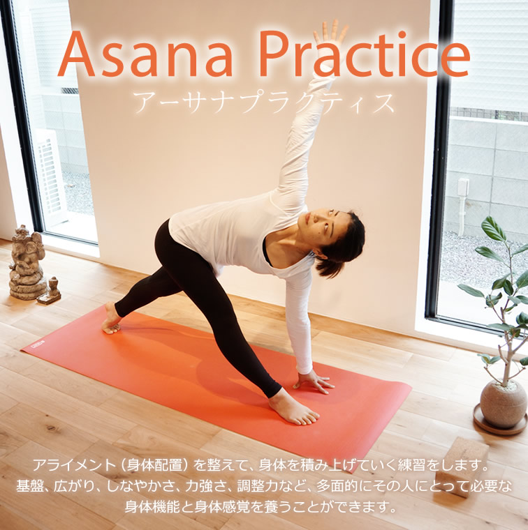 『アーサナプラクティス』野渡尚子