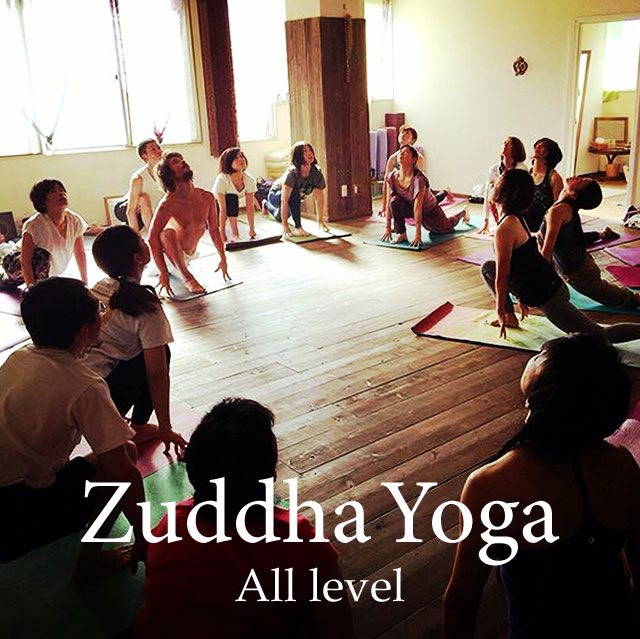 Zuddha yoga All level